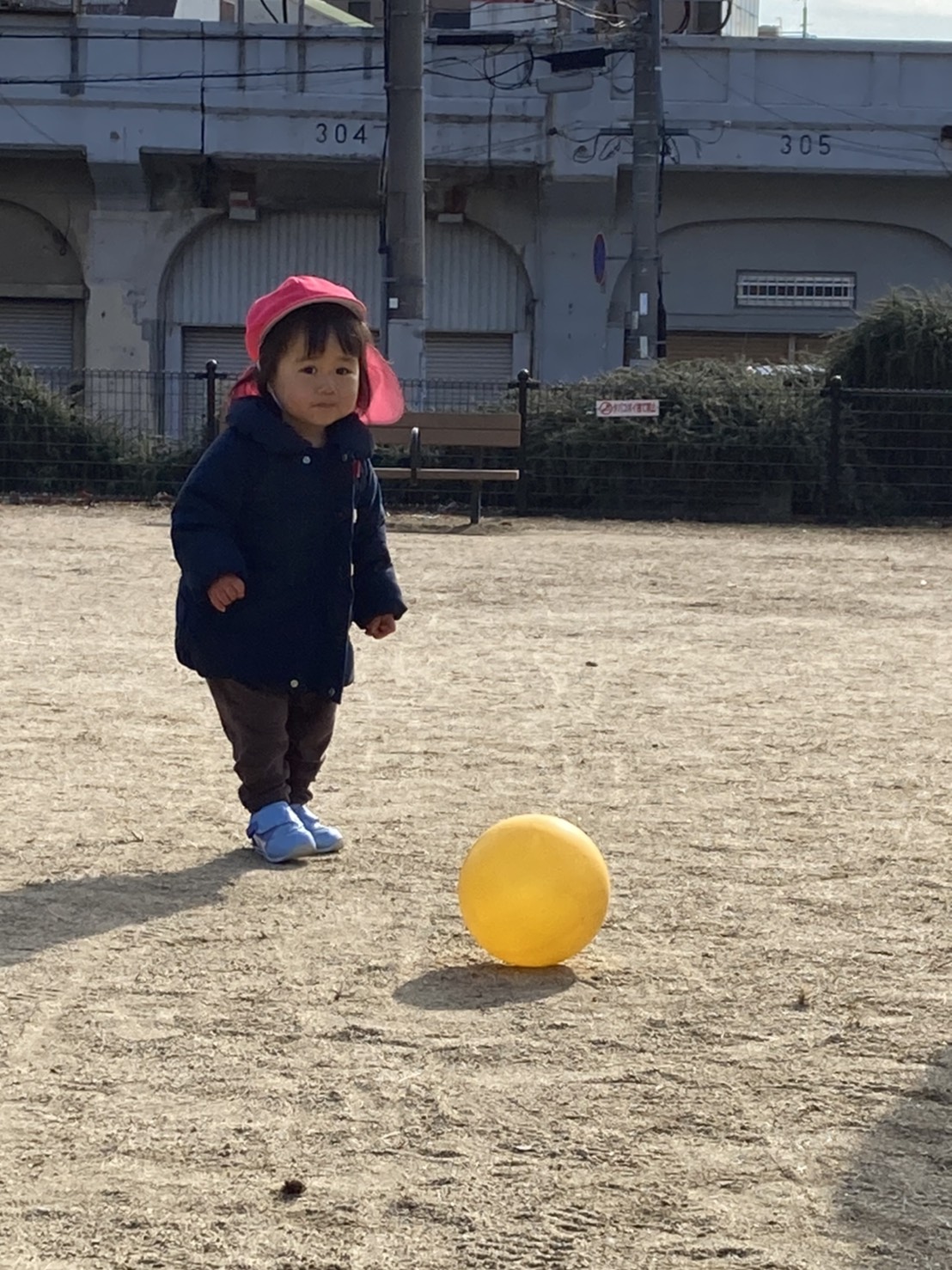 ボール ボール