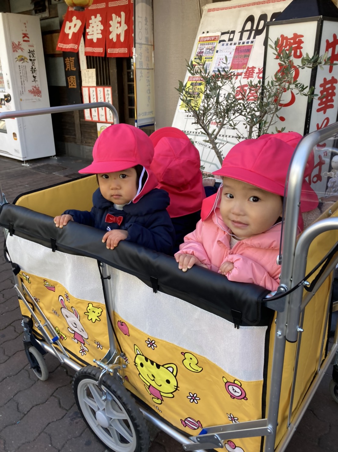 お散歩 お散歩