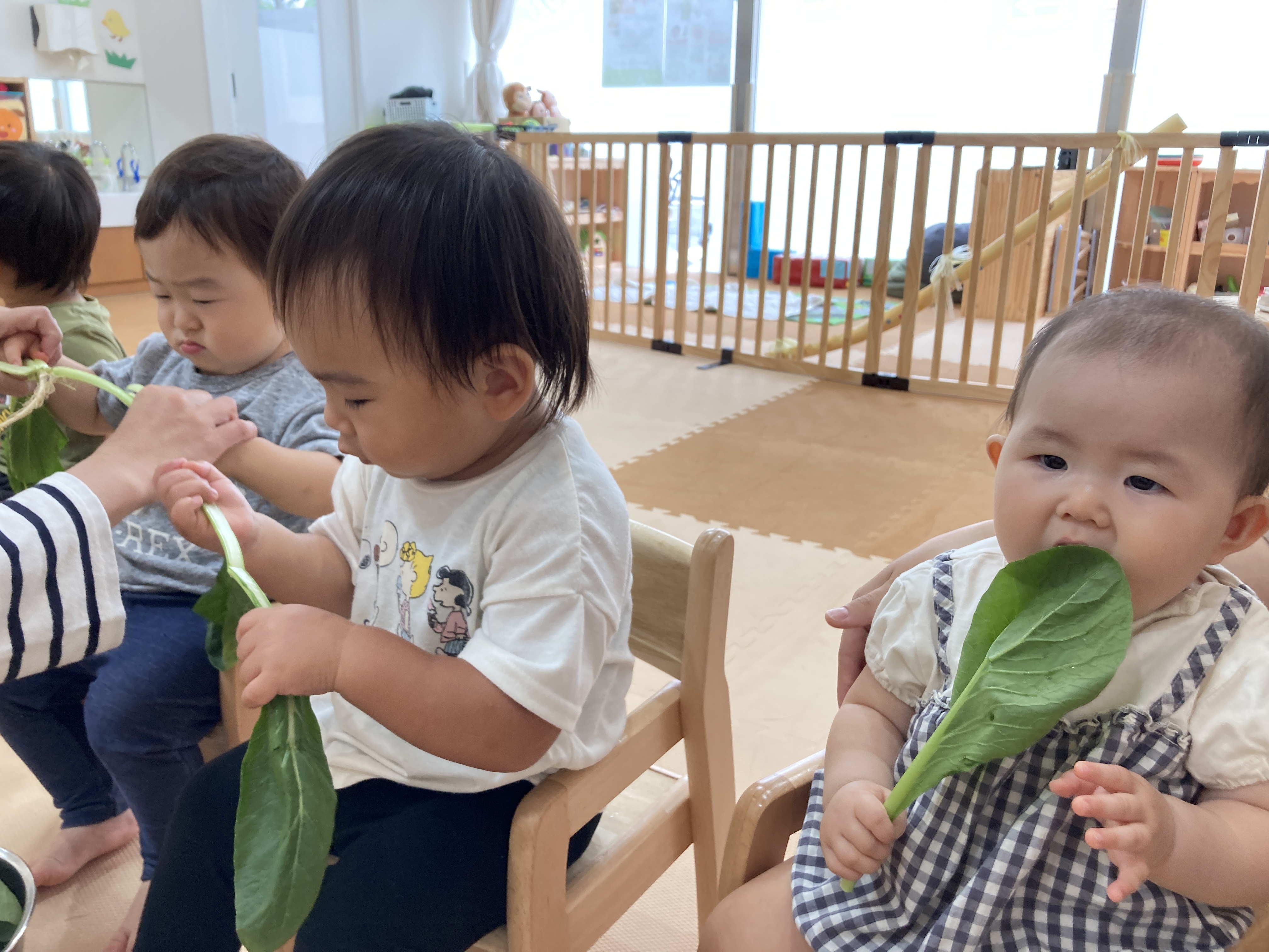 食材紹介
