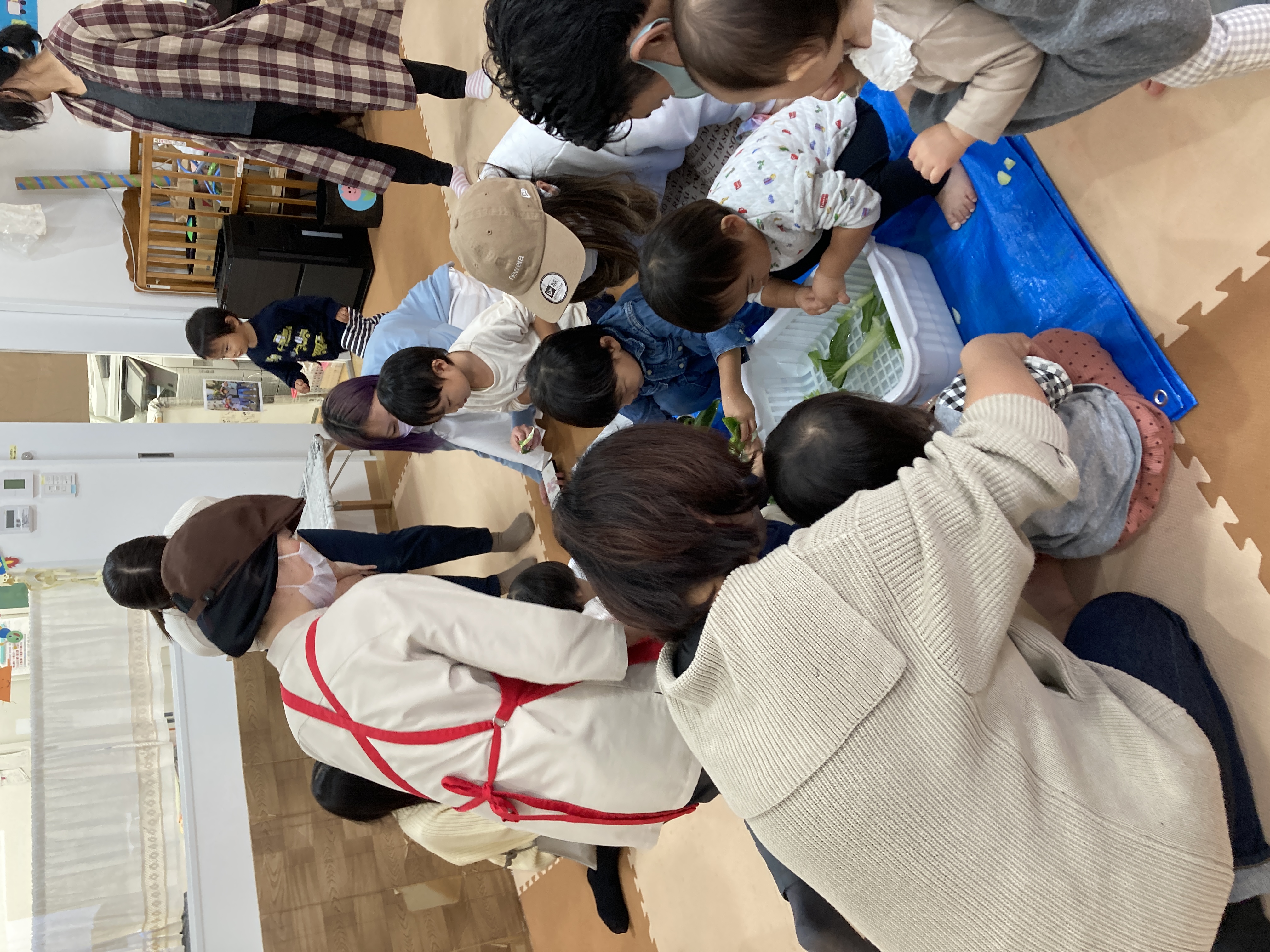 食材紹介2