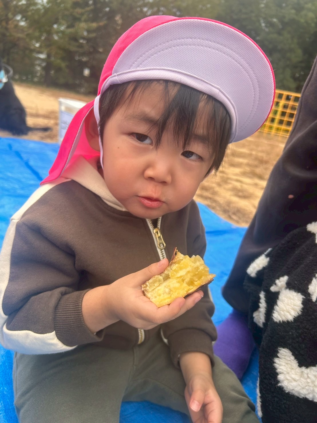 11���̎q�ǂ������̗l�q