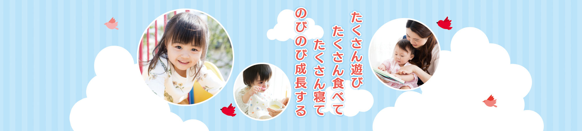 たくさん遊び、たくさん食べて、たくさん寝て、のびのび成長する たくさん遊び、たくさん食べて、たくさん寝て、のびのび成長する